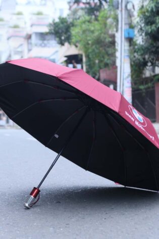 Umbrella